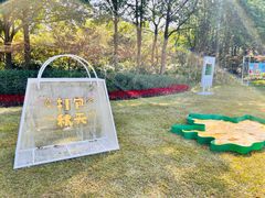 -青枫公园
