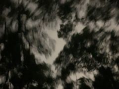 -紫霞湖公园