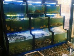 水产区-老东镇啤酒屋海鲜加工·蒸汽海鲜·海鲜烧烤(台东店)