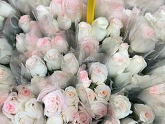 -循礼门鲜花花市(武汉循礼门店)