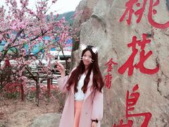 -桃花岛风景旅游区