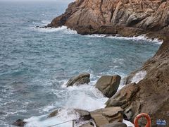 -广东惠东海龟国家级自然保护区