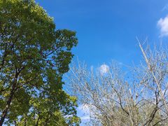-合肥野生动物园