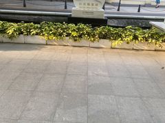门面-白天鹅宾馆·流浮阁咖啡厅