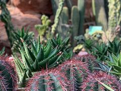 -华南国家植物园-售票处