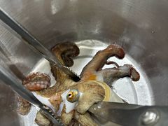 -真情鲍鱼海鲜汤