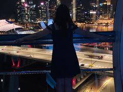 -新加坡摩天观景轮