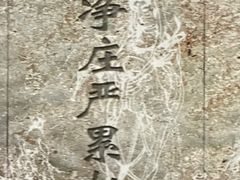 -印象普陀