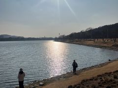 -羊山湖公园