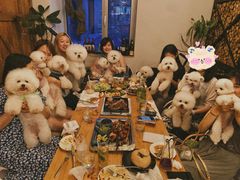 -the rug 飞毯 (朝阳公园店)