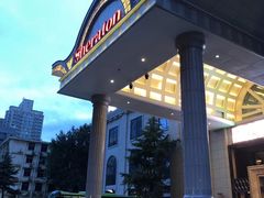 -西安赛瑞喜来登大酒店