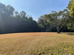 -深圳仙湖植物园