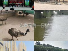 -沈阳森林动物园