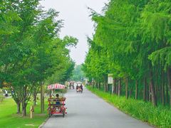 -嘉北郊野公园