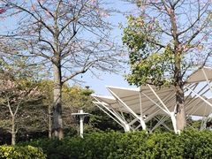 -文华公园(禅城区)