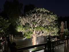 -茅庐·川粤精品私房菜(金沙遗址店)