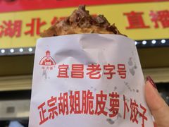 -半月镰胡姐脆皮萝卜饺子