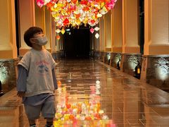 -海南清水湾莱佛士酒店