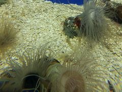 -洛阳龙门海洋馆