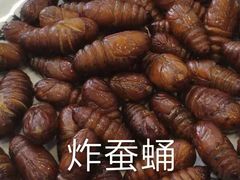 -东北王食府(科大店)