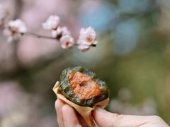 -五芳斋(上海金山龙翔路店)