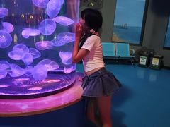 -泉城欧乐堡海洋极地世界