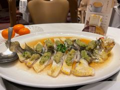 -金苑海鲜酒家(来魅力店)