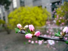 -辽宁大学(崇山校区)
