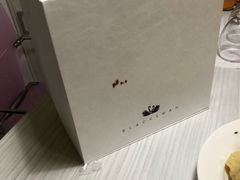 -BLACKSWAN黑天鹅(环球店)