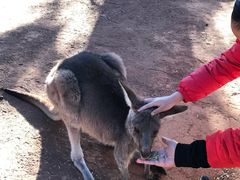 -费瑟代尔野生动物园