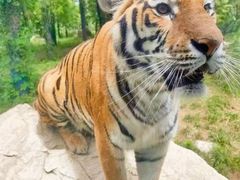 -栾川竹海野生动物园