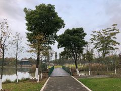 -尚贤河湿地