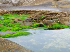 -日照灯塔风景区