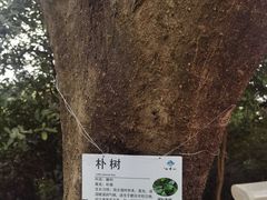 -广州市白云山风景名胜区