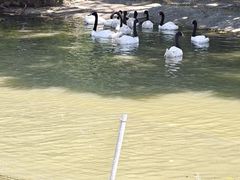 -广州长隆飞鸟乐园