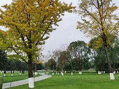 -重庆中央公园(渝北区)