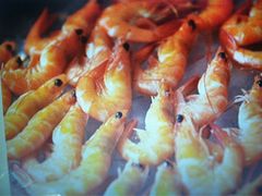 iphone_upload_pic-白云宾馆·白云宴餐厅