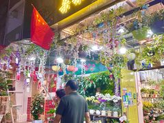 -溪岸路花鸟市场