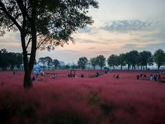 -汉长安城未央宫国家考古遗址公园