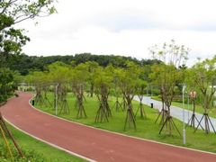 -飞凤山奥体公园