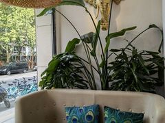 -金孔雀德宏傣味餐馆(魏公村店)