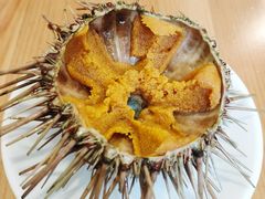 活海胆-海胆小馆(春柳店)