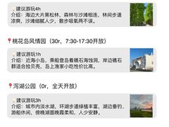 -日照海滨国家森林公园