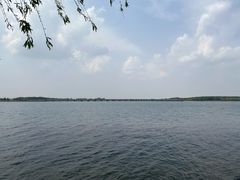 -丁香湖公园