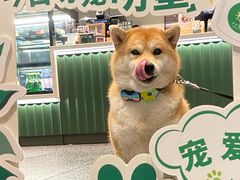 -星巴克(成都泛悦城市广场店)