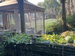 -野蔓果·山野菜(西湖景区·龙井茶田店)