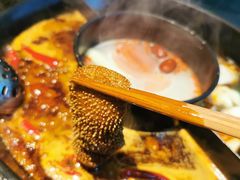 -怡品川宇火锅(宝立方店)