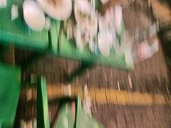 -天盛海鲜烧烤大排档·本地小海鲜·牟平腿穗子(幸福店)