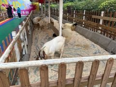 -广州长隆国际大马戏