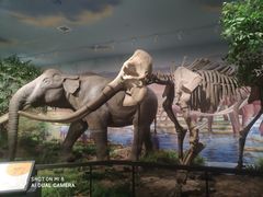 -湖南省地质博物馆